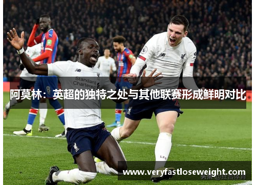 阿莫林：英超的独特之处与其他联赛形成鲜明对比